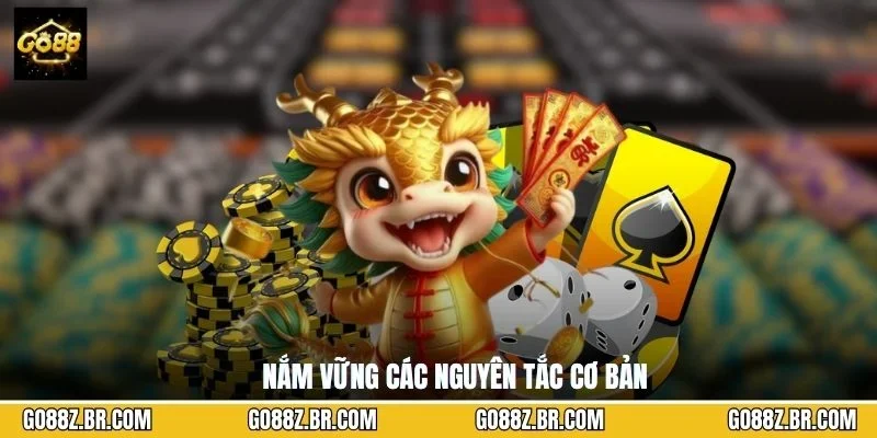 Nắm vững các nguyên tắc cơ bản